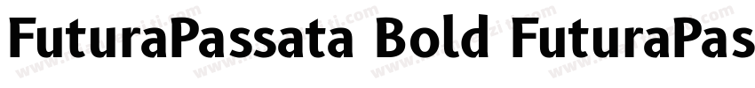 FuturaPassata Bold FuturaPassata B字体转换